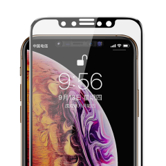 Apple iPhone 11 Pro Benks 0.3mm V Pro Privacy Ekran Koruyucu