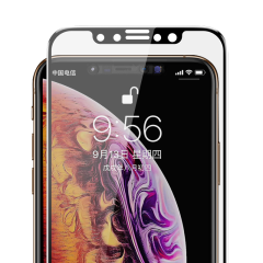 Apple iPhone XS 5.8 Benks 0.3mm V Pro Privacy Ekran Koruyucu